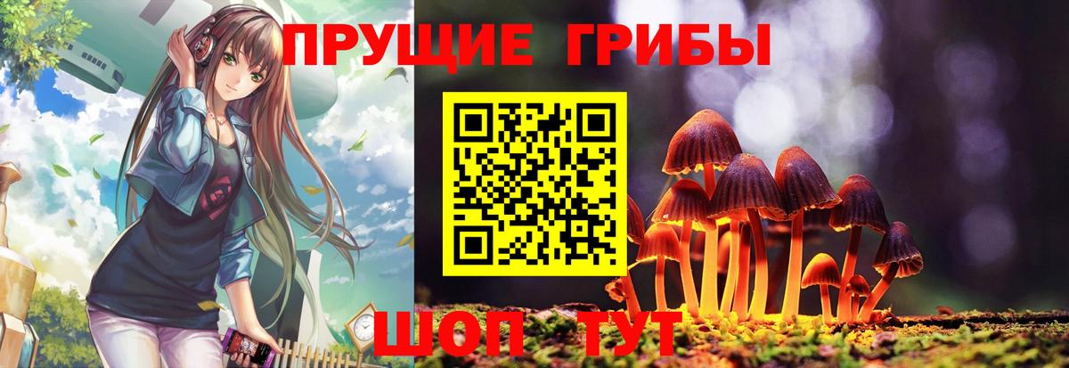 Галлюциногенные грибы прущие грибы  Вход с VPN  Псилоцибиновые грибы GOLDEN TEACHER  Ноябрьск 
